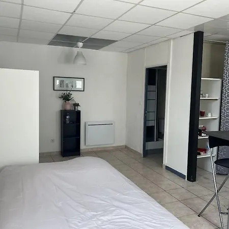 Studio Bien Place La Ferté-Saint-Aubin Esterno foto